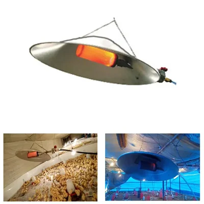 Heavy Duty Gas Poultry Chick Brooder